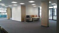 Moderne Bürofläche im Dresdner Norden - Innenansicht